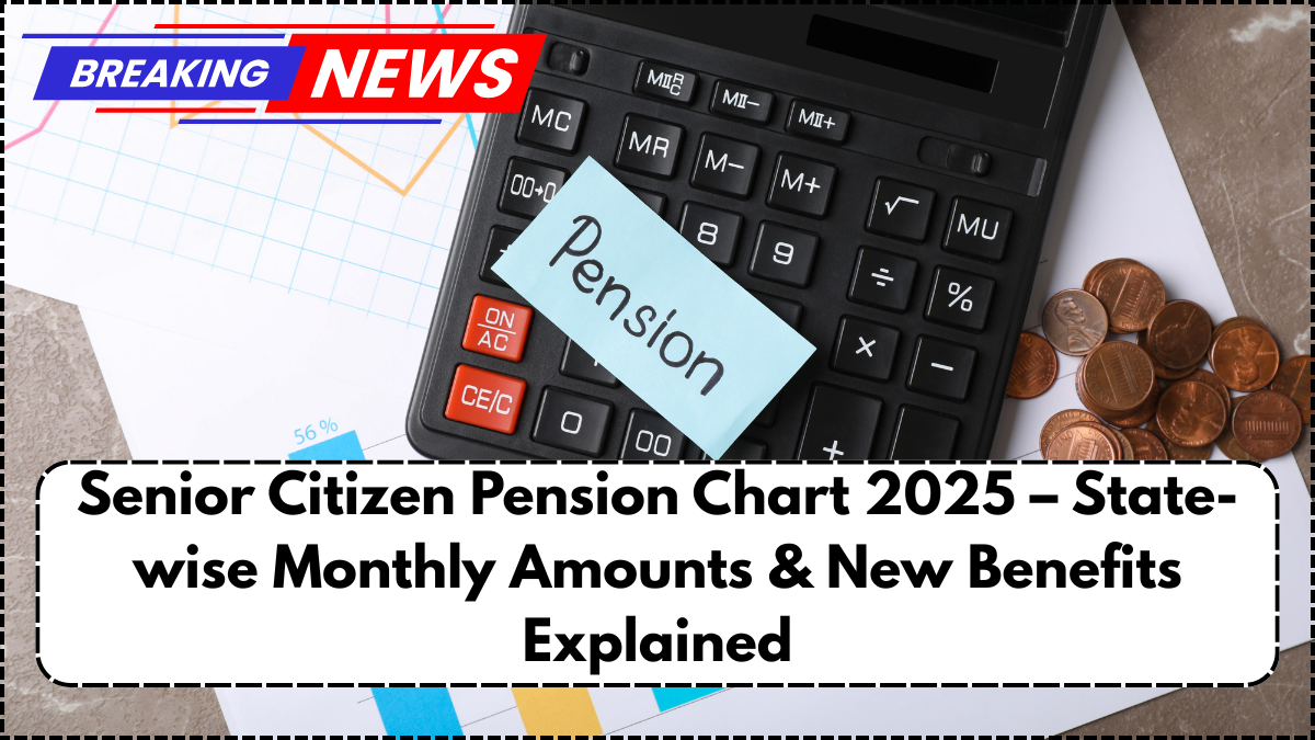 Senior Citizen Pension Chart 2025 – State-wise Monthly Amounts & New Benefits Explained