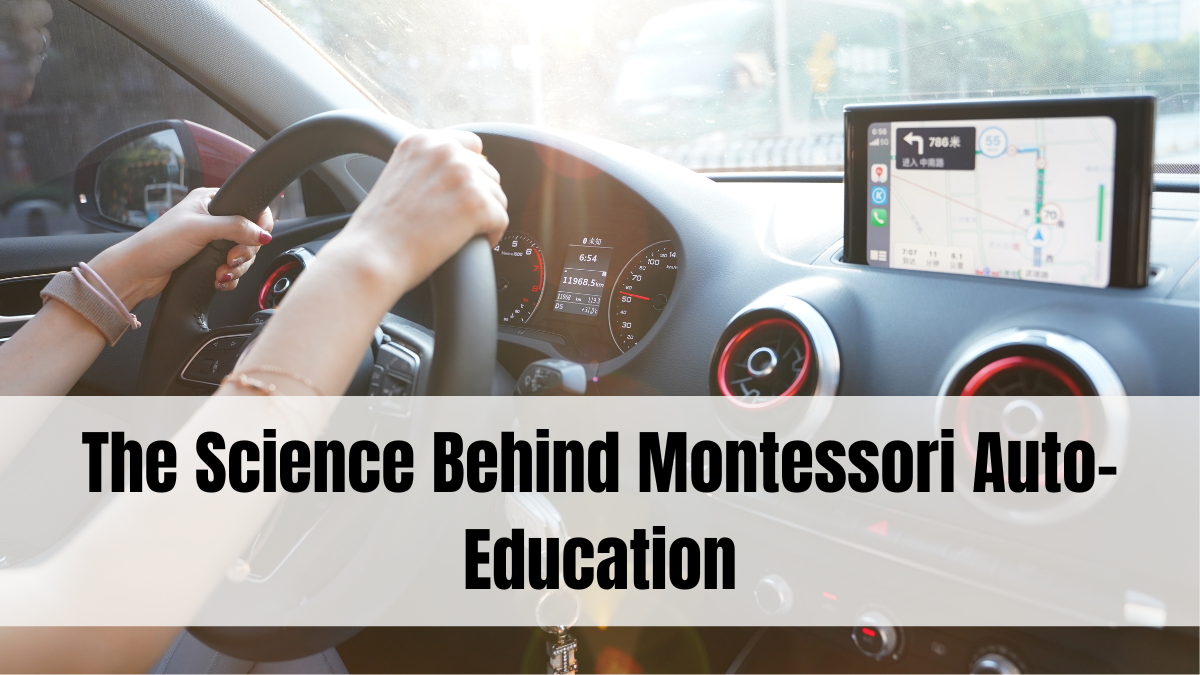 The Science Behind Montessori Auto-Education