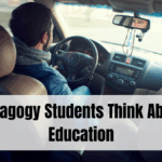 What Pedagogy Students Think About Auto-Education