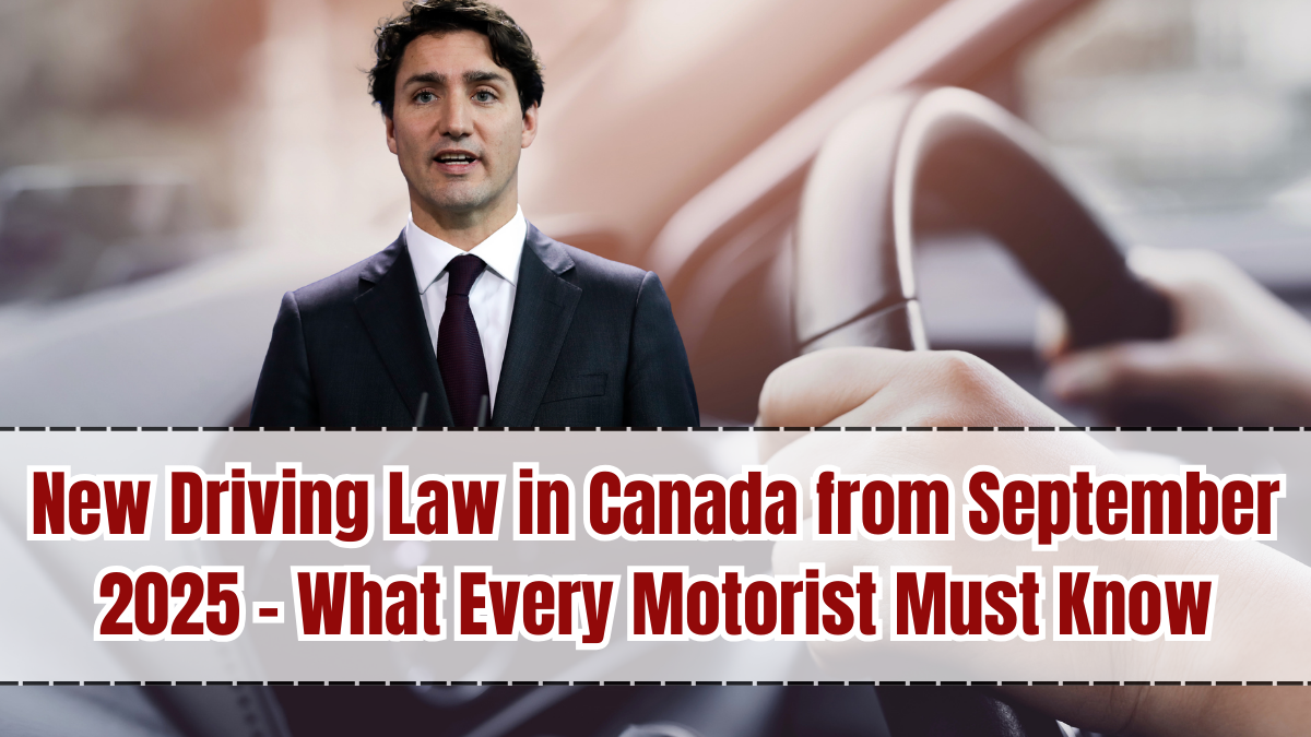 New Driving Law in Canada from September 2025 – What Every Motorist Must Know