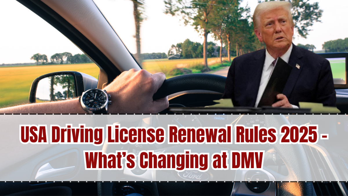 USA Driving License Renewal Rules 2025 – What’s Changing at DMV