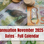 NZ Superannuation November 2025 Payment Dates – Full Calendar